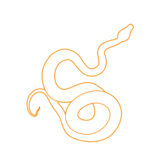 Animals Snakes Green Tree Python Outline Icon Svg Set, Free Vectors File